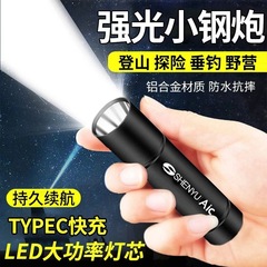 LED強光小懐中電灯USB充電可能多機能ミニ学生携帯照明作業灯卸売りプレゼント