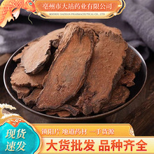 大站药业  锁阳  新疆金锁阳  批发中药材锁阳 锁阳片  锁阳个