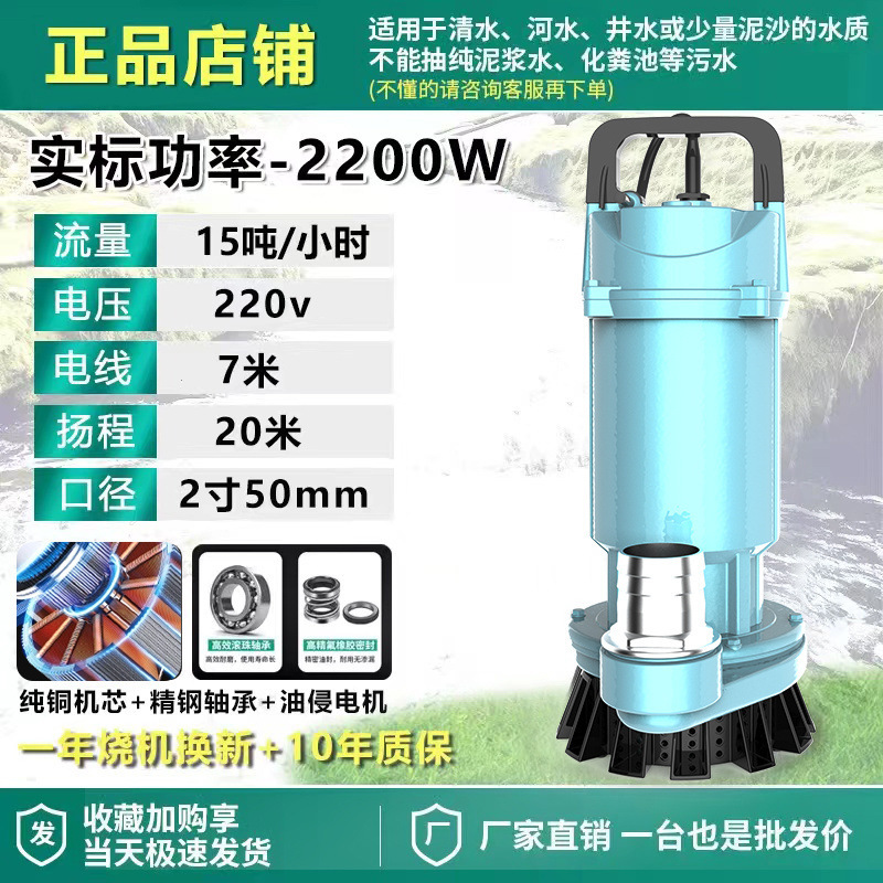 Shanghai auténtica bomba sumergible 220V bomba de agua de gran calibre 3 pulgadas 4 pulgadas sin escobillas de alto flujo de elevación bomba de agua