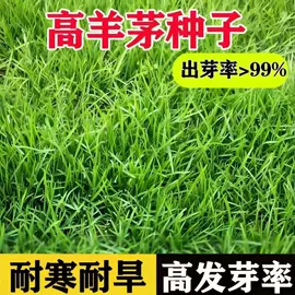 草种子;筷子;其他园林资材