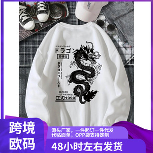 2025�¿�羳��ʿ���e��ʽ�ַ��c�Ї����D���A�I�l��