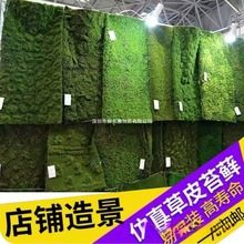�Gֲ��̦�\��ƺ�辰����������̦�\ɭ��ϵ��ܛ�b�b������տ�