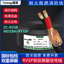 �͟��o�u��ȼ�ͻ�WDZBN-RYJSP�p�g����ZC-RVSP����485��̖��2/4о