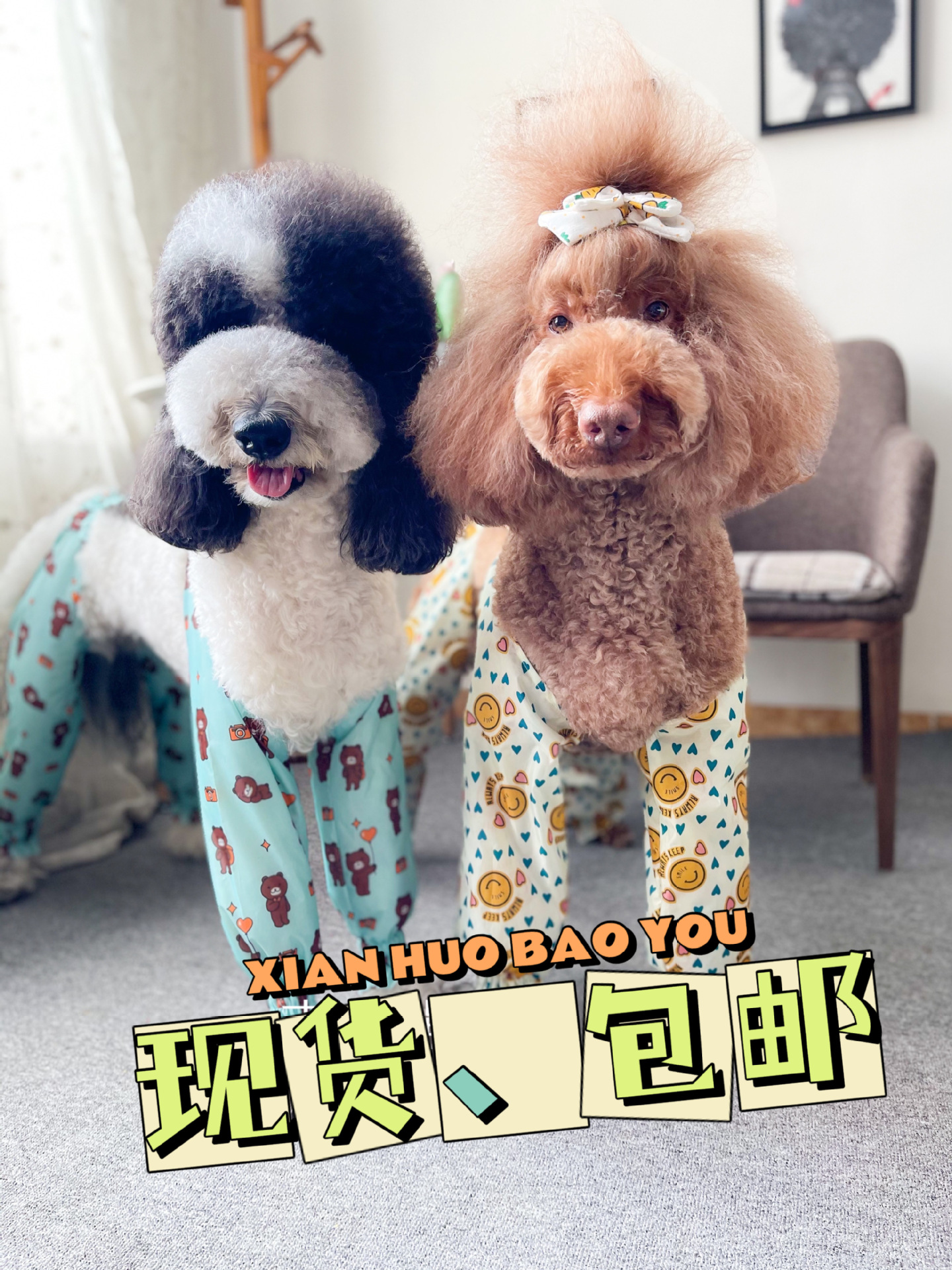 (2개) 귀도 시옹의 애완견 더러운 다리 바지 방수 소변 방지 방진 다리 소매 비옷은 곰 거인보다 비쌉니다.