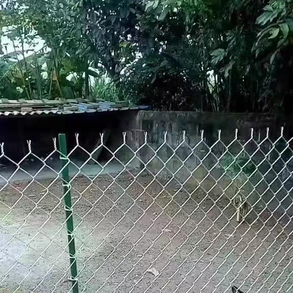 镀锌勾花网体育厂球场护栏网畜牧防护网林区防护网包树头铁丝网