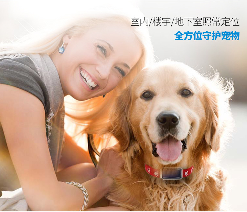 Pet locator GPS tracker cat dog anti-lost tracking collar waterproof Beidou long standby can talk