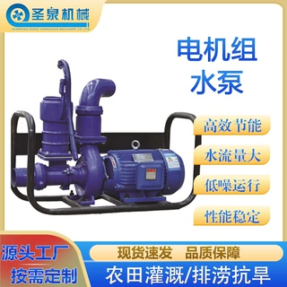 圣泉农用灌溉水泵 大流量380V抽水泵 家用高扬程抽水机水泵离心泵