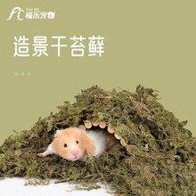 ��Ȼ���݉|�ς}���J���u�b���Ʒ��z����B��\���쾰��̦�\