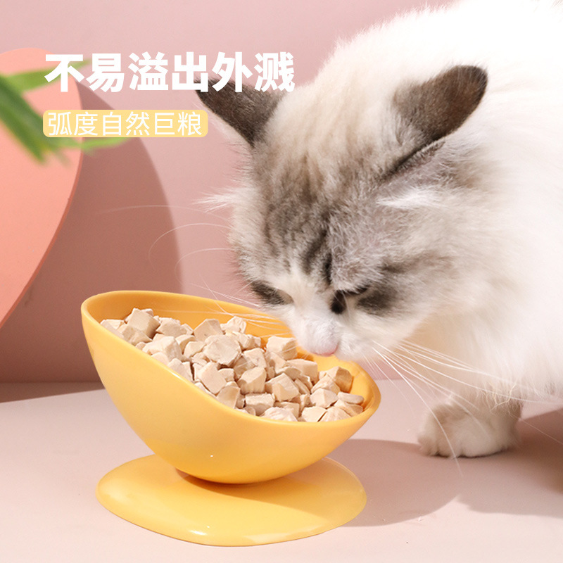 Taza de té Tazón inclinado Tazón para gatos Boca inclinada Tazón de comida para gatos Cuidado de la columna cervical Tazón para cachorros de gato Tazón para perros Tazón único de plástico universal