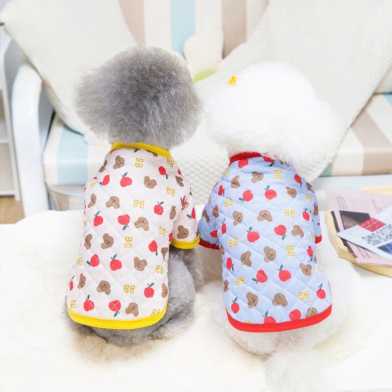 Home pet clothing, colorful bear two-legged cotton coat, autumn and winter warm clothes, simple teddy bear puppy clothes