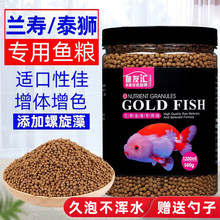 �������Ͻ���ߵ���̩ʨʨ��ͷ�ϸ�����ʳС�����³�������