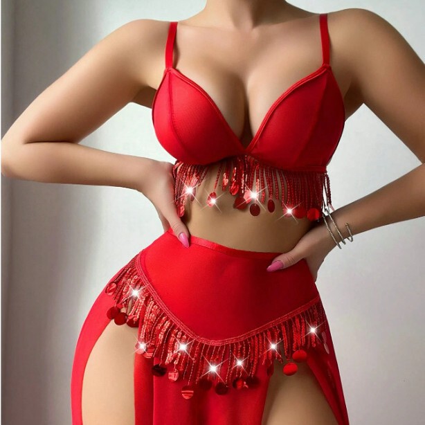 European and American Foreign Trade Cross-Border Supply Sexy Lingerie Exotic Belly Dance Sexy Tassel See-Through Suspender Slit Skirt