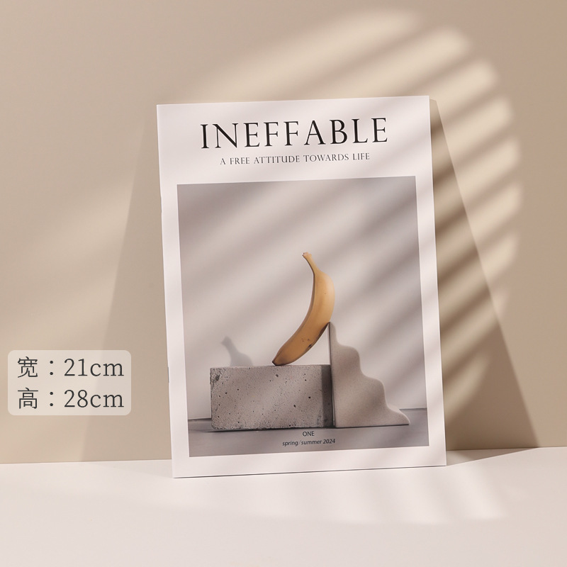 【D타입】잡지 1개