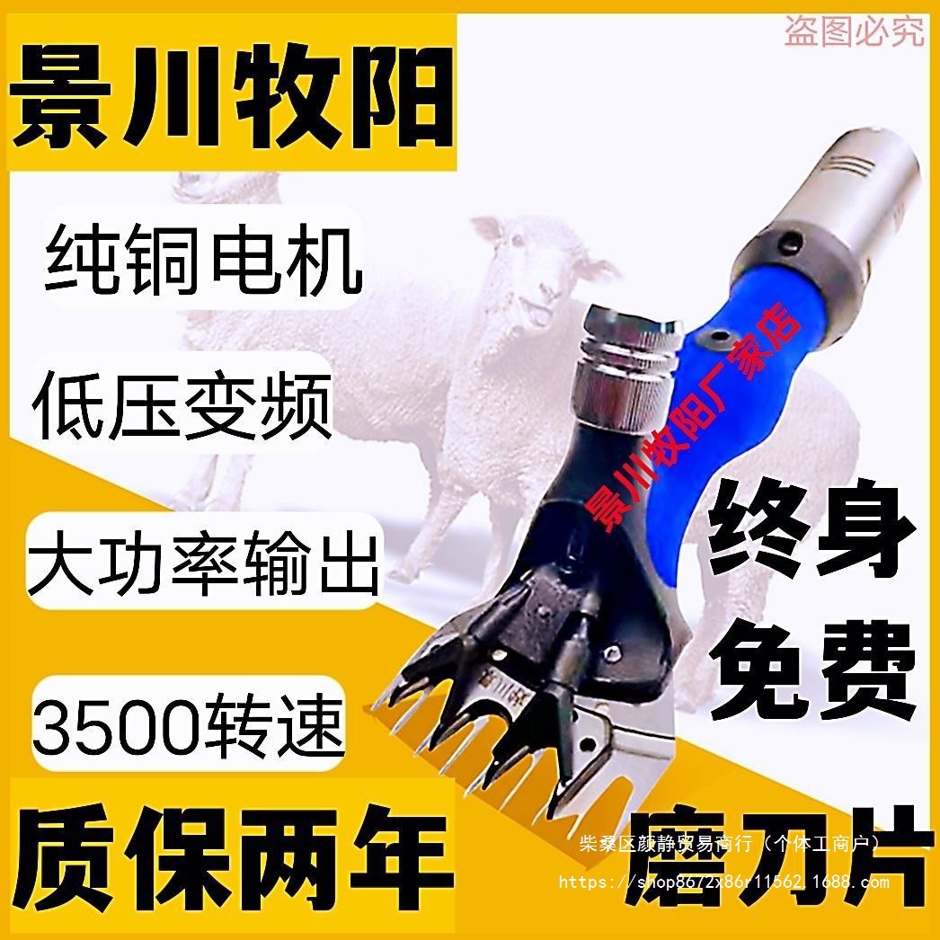 景川牧阳 羊毛推子 低压羊毛剪 剪毛机电推子 养殖设备养殖器具
