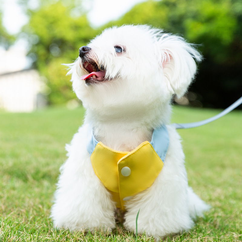 Otoño y invierno perros salen mochila tipo cinturón para perros pequeños y medianos chaleco Teddy Bear traje de asalto ropa de perro mascota
