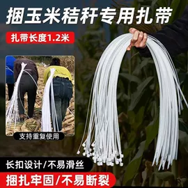 塑料建材;工具箱包;束线带