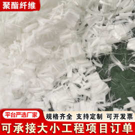 聚酯纤维 混凝土抗裂砂浆短切纤维丝 混凝土抗裂纤维聚酯短纤维
