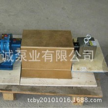 精密齿轮泵TBT/微量齿轮泵/计量齿轮泵/熔盐齿轮泵