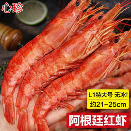 阿根廷红虾l1鲜活超大海虾大红虾冷冻大虾速冻海鲜水产船冻4斤