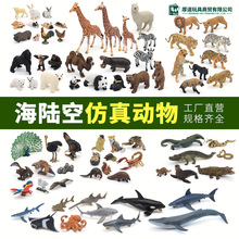 Դ�^�S��ģ�̈́������ɿ�ҧ���z����{�L�ϻ�ɭ�ֺ�������B�[��