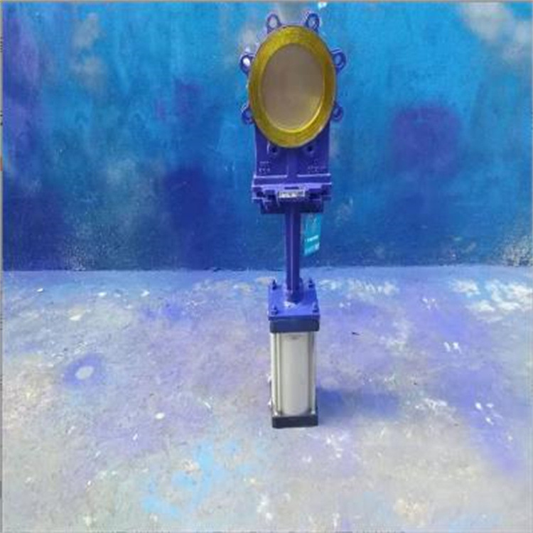 PZ673H-10C 梅花形气动明杆刀闸阀 DN300 纸浆泥浆污水刀闸阀