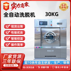 Gemeis 30kg 洗濯機と脱水機を統合した洗濯機 ランドリールームの洗濯機と脱水機 洗濯機