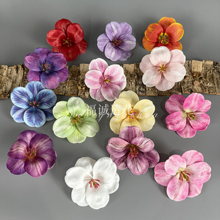 �_�ķ�����������滨���滨�^�����b�DIY�����bٻ��羳؛