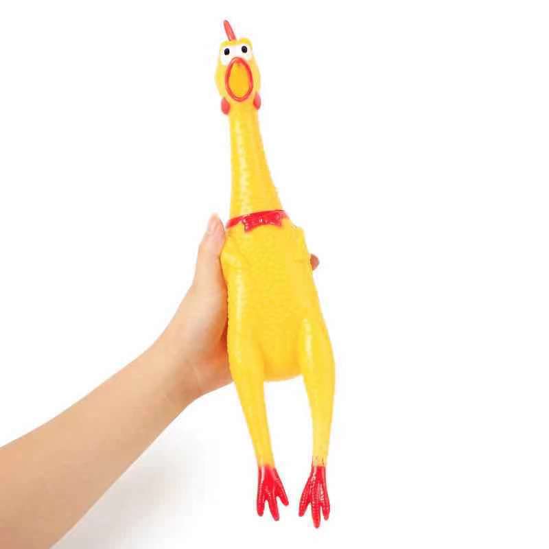이상한 소리를 내는 닭, 필사적으로 싸우는 닭, 강아지 장난감, 물리지 않는 강아지, 비명소리, 닭 애완견