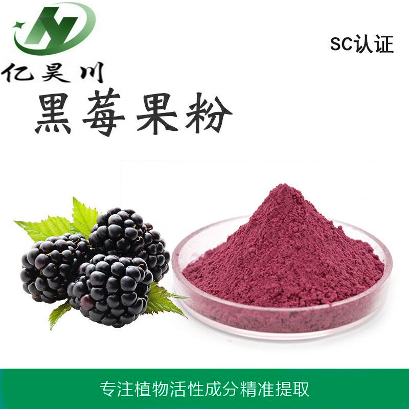 黑莓果粉厂家 全水溶黑莓汁粉 黑莓果汁干燥粉厂家量大从优