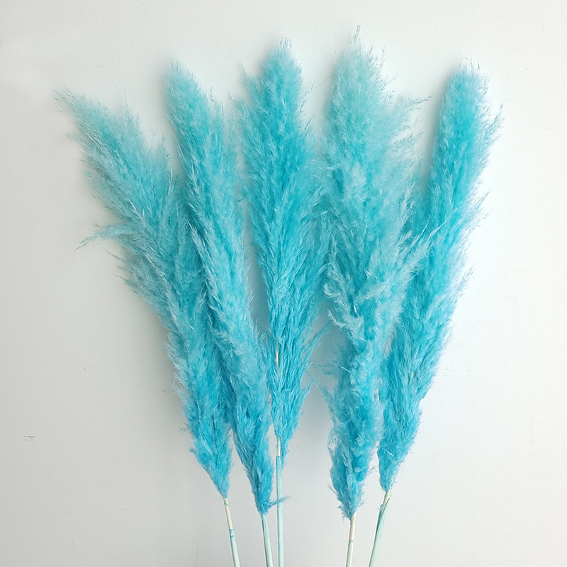 (2) 꽃 스파이크 5 개 70-80cm 전체 길이 약 140cm