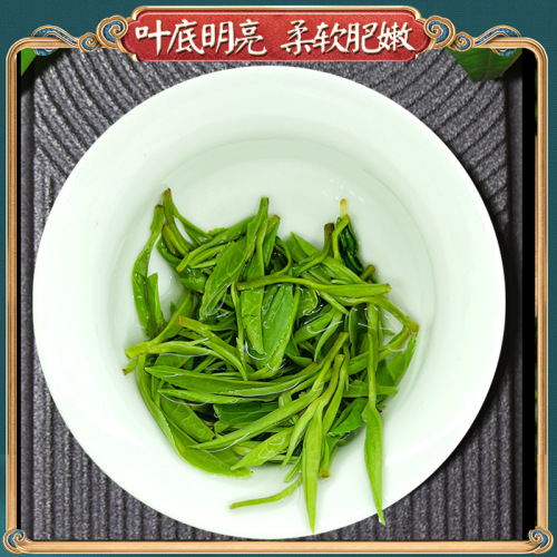 New Tea Xiangxi Baojing Golden Tea Yuqian Green Tea Strong Flavor Maojian Bulk Bag Tea Wholesale
