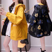 ���������ɴ����b����Ů2023�¿��ɴ�a���e�OӋ�ЊA������