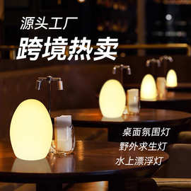 包邮亚马逊创意餐桌面酒吧卧室床头喂奶氛围小夜灯 LED发光蛋形灯