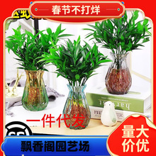 һ���������������ˮ��ֲ�����ڿ���ˮ����ֲ�������԰칫������