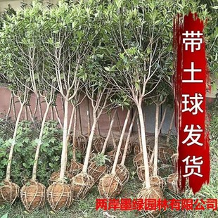 �𻨘��������ͥԺ�̨�������Խ�𵤹��ļ�����¹𻨴�䃞�|