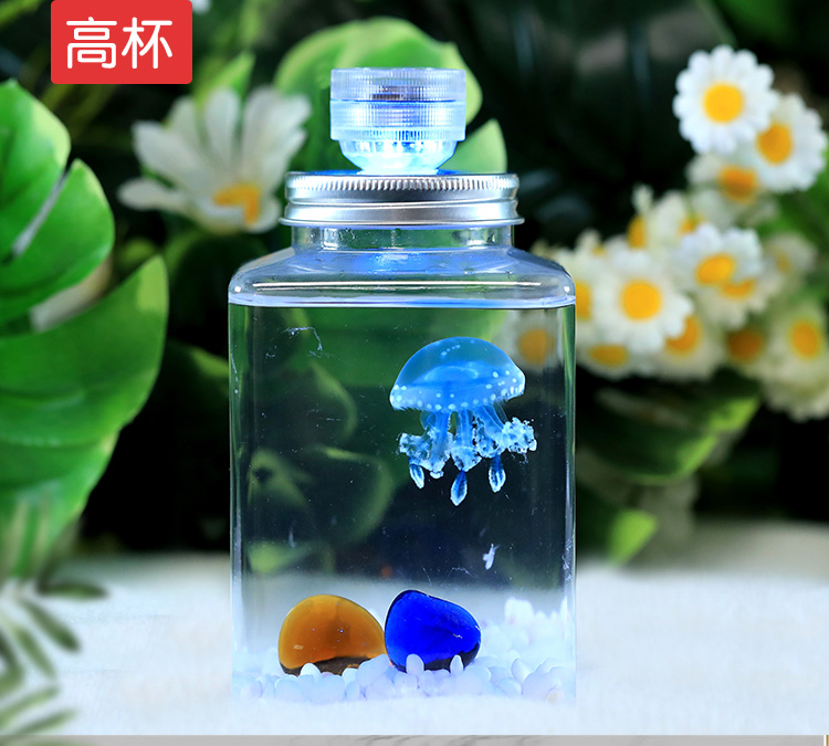 水母活物缸家养好养儿童学生桌面小动物宠物迷你懒人水族箱赤月