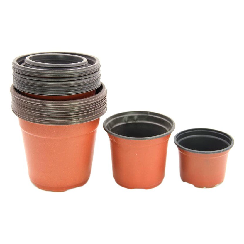 Двухцветный горшок для рассады, чашка для питания, вставка для листьев рассады суккулентов, пластиковый одноразовый простой цветочный горшок