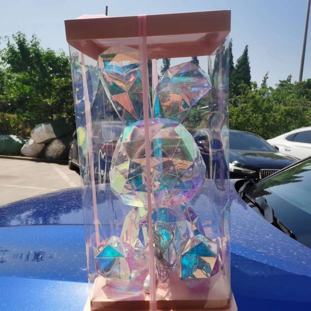 O1CN01AwKBTr252OfHds91K_!!2206