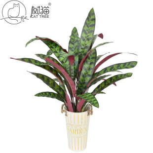 ߙnGֲ12^PβݼӺȸ~ާֲƵbٲ