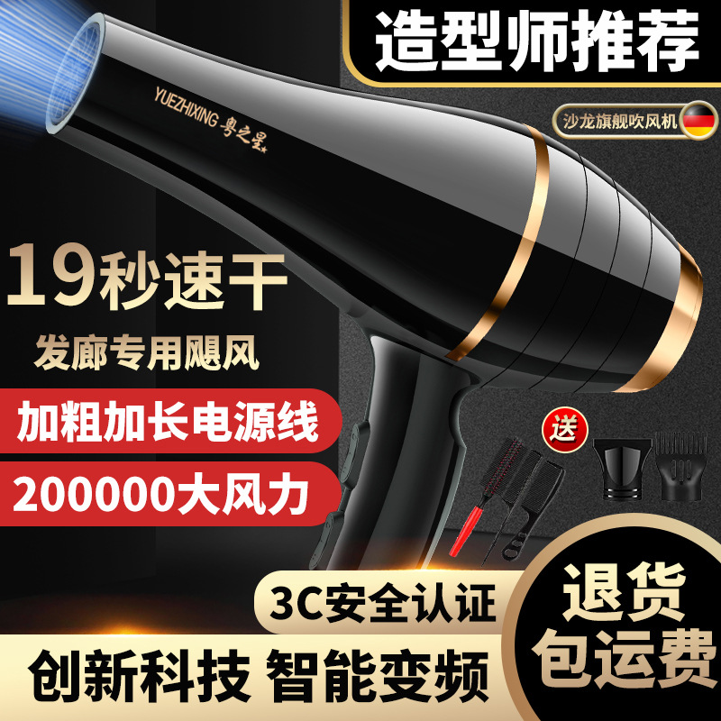 Hair Salon Special Household Hair Dryer Electric Hair Dryer Large and Small Power Barber Shop Quick-Drying Hot and Cold Blue Light Negative Ion Hair Care
