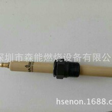 �������ɭ�����缫����MAXON39829 25663 23739 1081869����