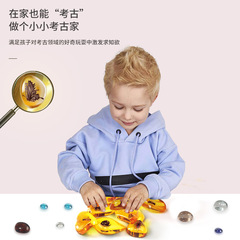 兒童考古琥珀化石大號挖掘昆蟲動物標本男孩考古模型玩具科教套裝