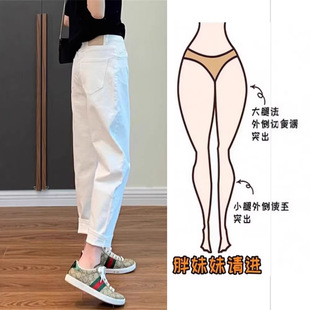 ��ɫ����ţ��ѝŮ����2026�����ﱡ���}�������@�݌��ɾŷ��ϵ�ѝ