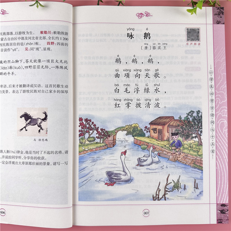 详情图