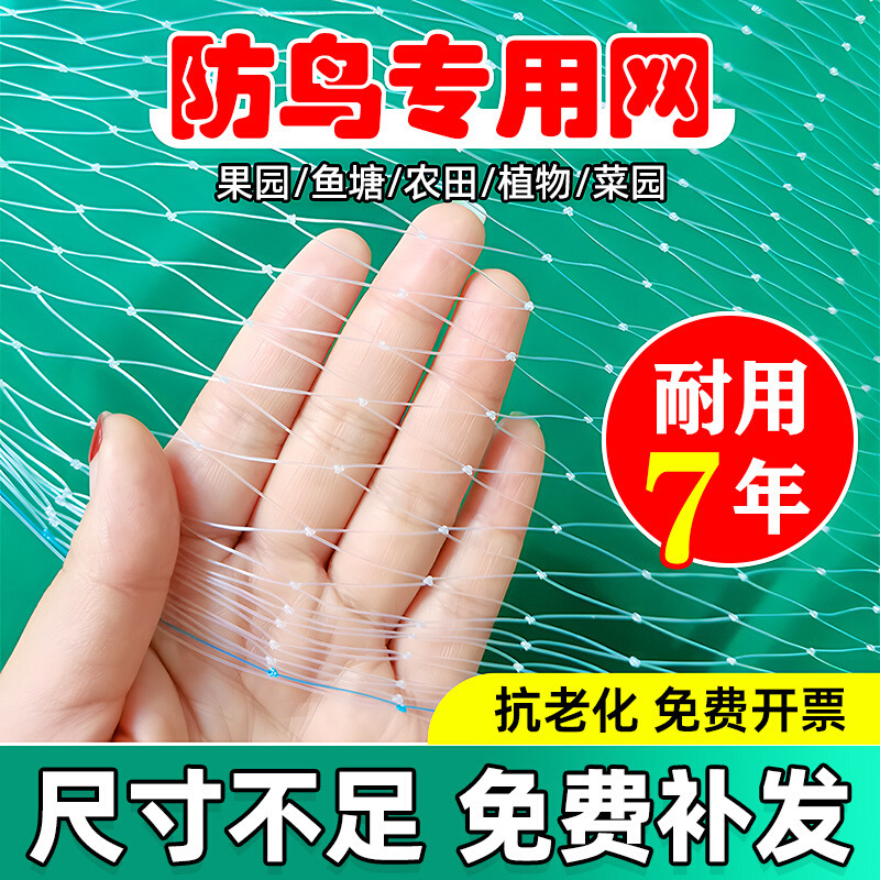鸟网果树果园网罩尼龙乌天塘樱桃树护网小鸟的网