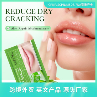Full English Sadoer Aloe Vera Moisturizing Lip Mask Anti-Drying Care Lip Mask Cross-Border Foreign Trade Wholesale