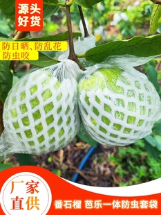 Guava Bagging Insect-Proof Mesh Bag Special Integrated Foam Packaging Bag Pomegranate Thickened Bag Guava Fruit Mesh Bag