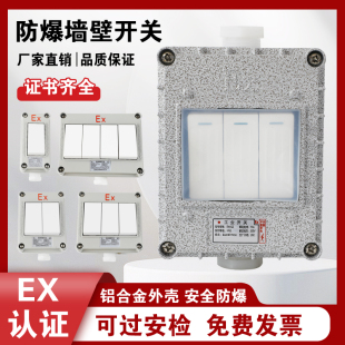 National Standard Explosion-Proof Lighting Switch 220V Cast Aluminum 86 Type Wall Switch Surface-Mounted 10A Water Dust Single Switch Dual Control