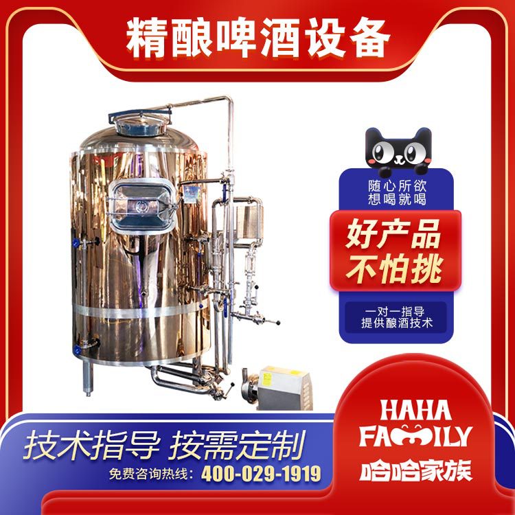 酿制啤酒机械 精酿啤酒灌装机械 小型啤酒制作设备 啤酒制作配方