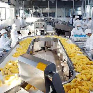 商用东北甜玉米扒皮机 速冻糯玉米鲜棒生产线设备